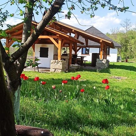 Casa Livada Bunicii Villa Tîrgu Ocna Exteriör bild