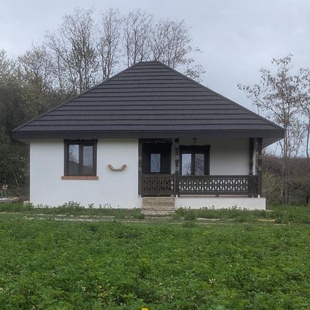 Casa Livada Bunicii Villa Tîrgu Ocna Exteriör bild