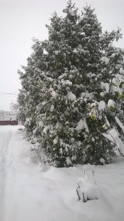 Casa Livada Bunicii Villa Tîrgu Ocna Exteriör bild