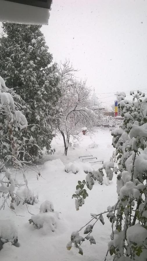 Casa Livada Bunicii Villa Tîrgu Ocna Exteriör bild