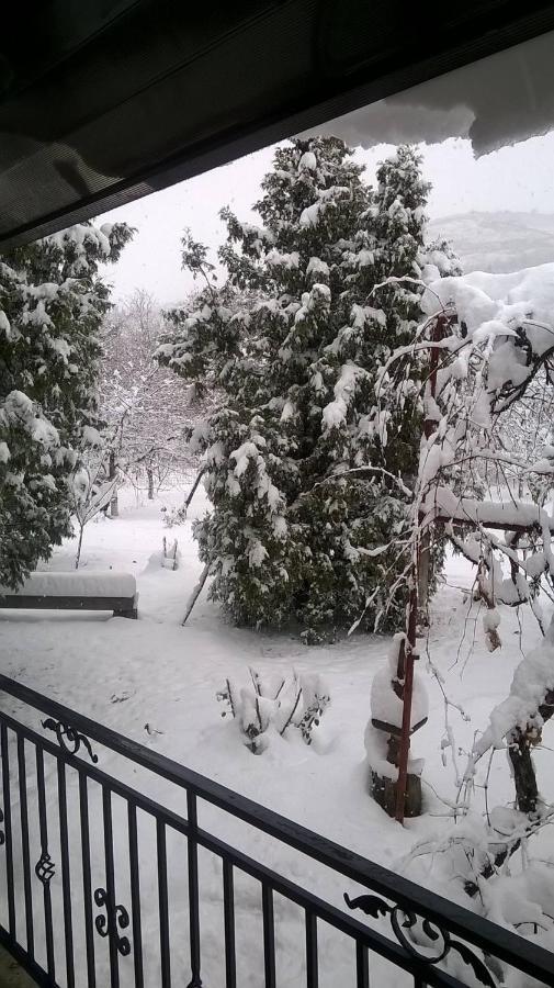 Casa Livada Bunicii Villa Tîrgu Ocna Exteriör bild