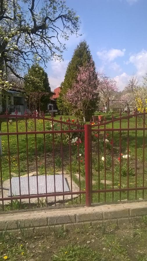 Casa Livada Bunicii Villa Tîrgu Ocna Exteriör bild