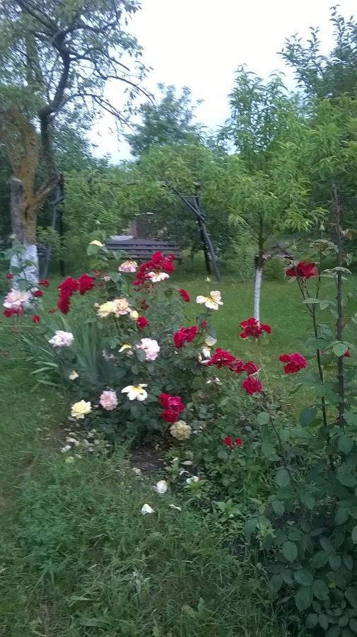 Casa Livada Bunicii Villa Tîrgu Ocna Exteriör bild
