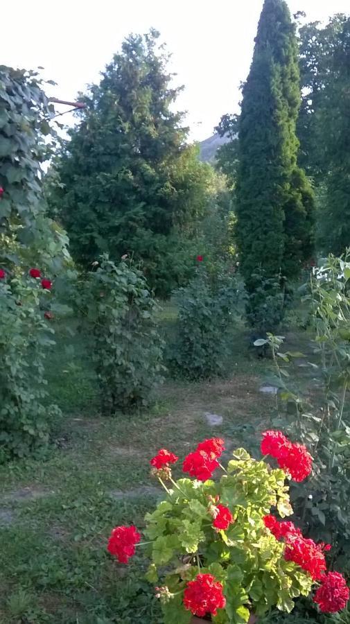 Casa Livada Bunicii Villa Tîrgu Ocna Exteriör bild