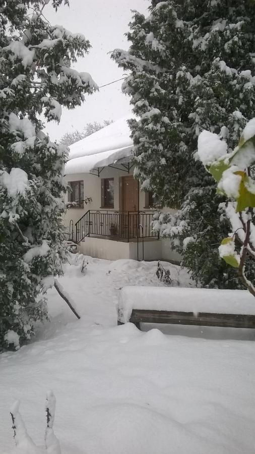 Casa Livada Bunicii Villa Tîrgu Ocna Exteriör bild