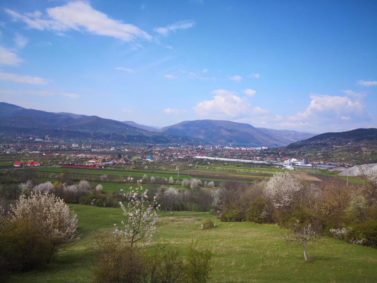 Casa Livada Bunicii Villa Tîrgu Ocna Exteriör bild