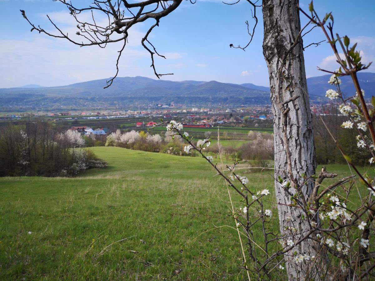 Casa Livada Bunicii Villa Tîrgu Ocna Exteriör bild