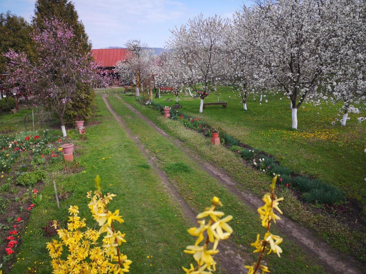 Casa Livada Bunicii Villa Tîrgu Ocna Exteriör bild