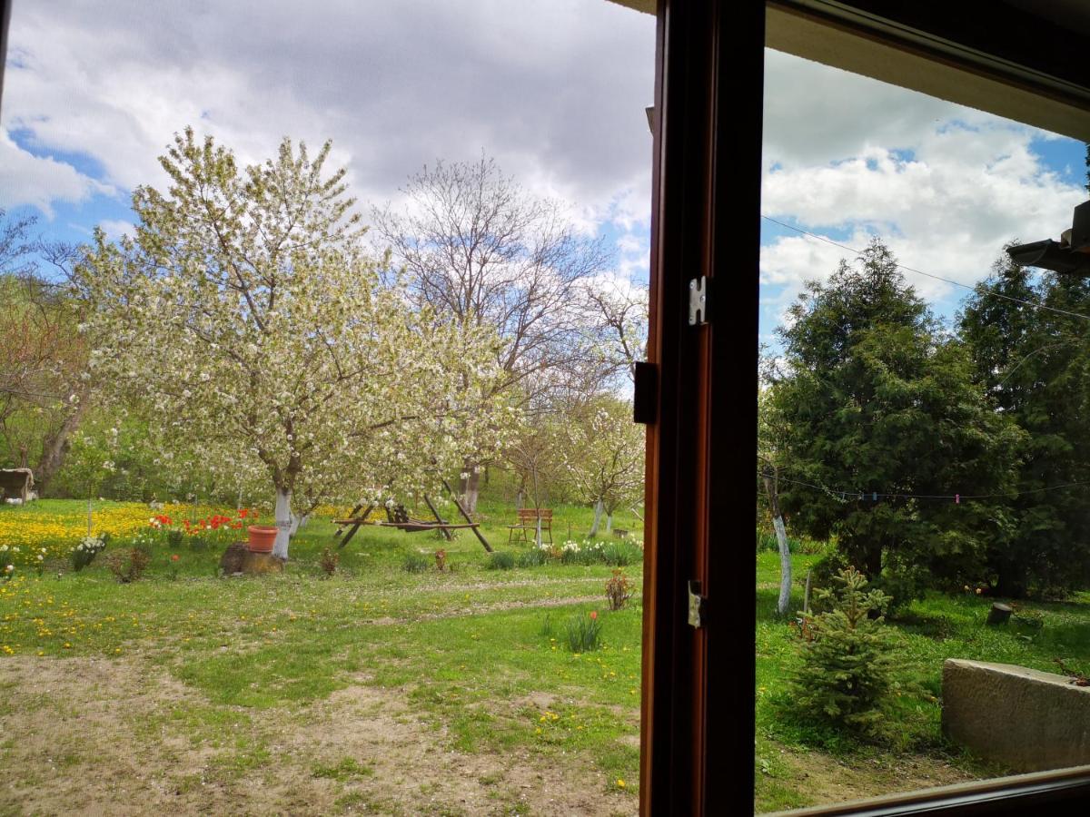 Casa Livada Bunicii Villa Tîrgu Ocna Exteriör bild