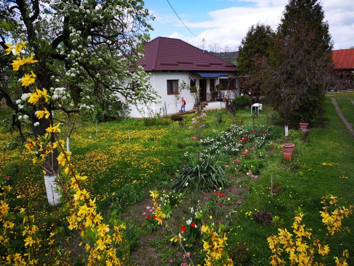 Casa Livada Bunicii Villa Tîrgu Ocna Exteriör bild