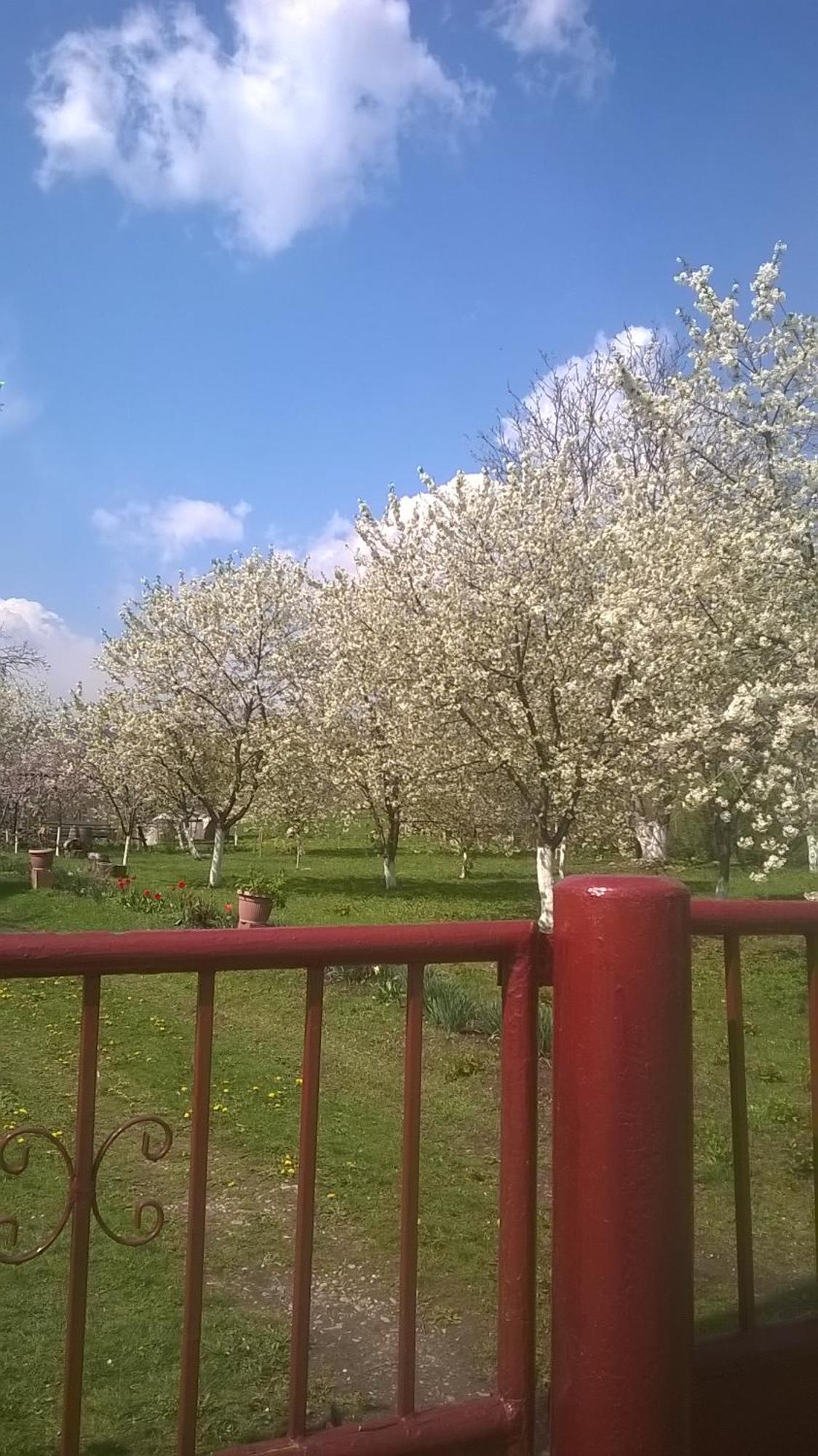 Casa Livada Bunicii Villa Tîrgu Ocna Exteriör bild
