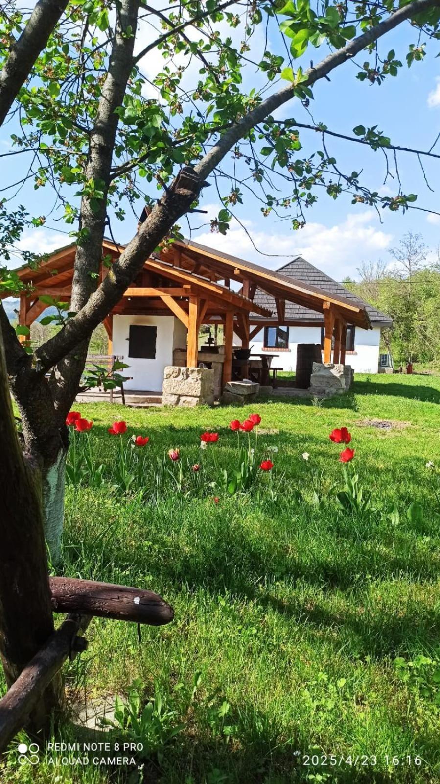Casa Livada Bunicii Villa Tîrgu Ocna Exteriör bild