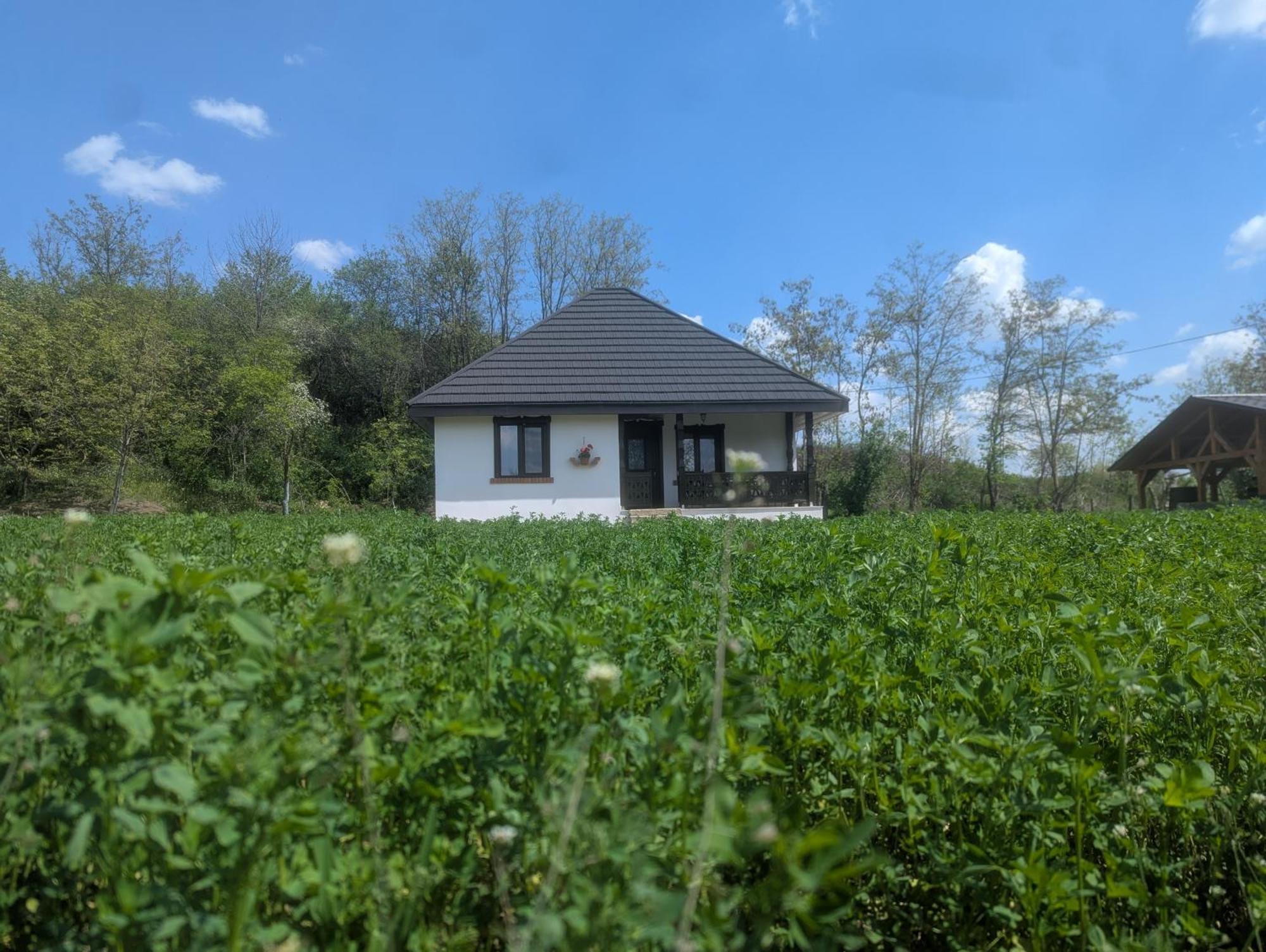 Casa Livada Bunicii Villa Tîrgu Ocna Rum bild